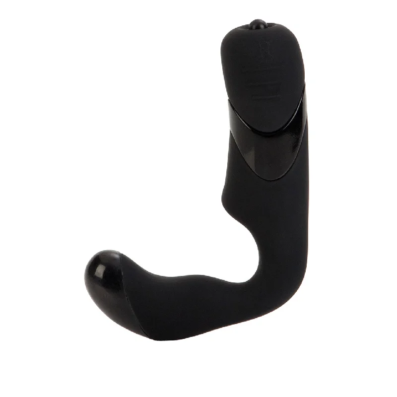 Dr. Joel Kaplan Compact Prostate Massager